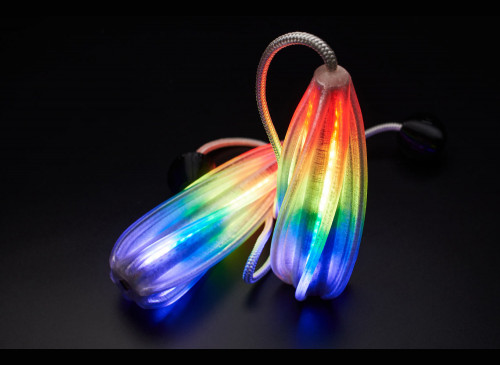 Ignis JellyPoi 24